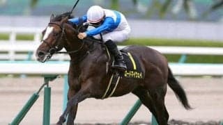 金鯱賞でサートゥルナーリアは絶対か。過去データが導く３頭がヤバい