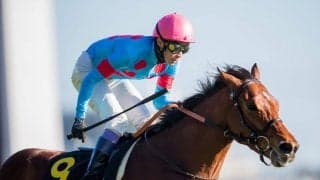 武豊騎手 今週の騎乗馬