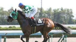 荒れるフィリーズレビュー。その傾向からバッチグーな４頭を発見