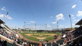 【MLB】「新型コロナ」で休業のパート従業員に約1億800万円　タイガースのオーナーが用意