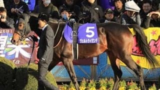 成長遂げるヴェルトライゼンデ。皐月賞で「コントレイルを逆転可能」