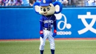 中日ドアラ先生がマジメに「おしごと」　無人のナゴヤドーム客席での球拾いが話題
