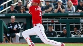 MLBスカウト期待の人に秋山翔吾　チーム作りの“鍵”に？「様々な方法で助ける」