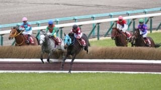 【阪神スプリングJ】オジュウチョウサンが圧勝！力の違いを見せる