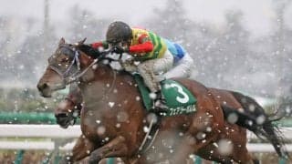 【中山牝馬S】フェアリーポルカが差し切り！重賞初制覇