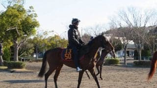 【フラワーC】ミアマンテ 3連勝で重賞V目指す