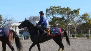 【フラワーC】ポレンティア 田中博師「距離が延びるのはプラス」