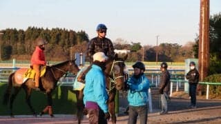【フラワーC】シーズンズギフト 黒岩師「今回も楽しみ」