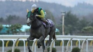 【奥州弥生賞】3歳戦線を占う奥州弥生賞はフレッチャビアンカが圧勝！