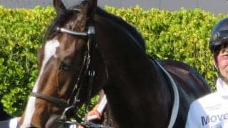 【黄梅賞】クロノメーターが断然の支持に応える