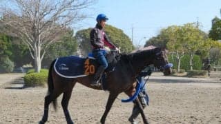 【スプリングS】ココロノトウダイ コース替わりで反撃