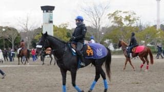 【スプリングS】サクセッション 東京では無敗