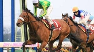 「まだ完成途上」のサトノフラッグ。クラシックへの期待は絶賛拡大中