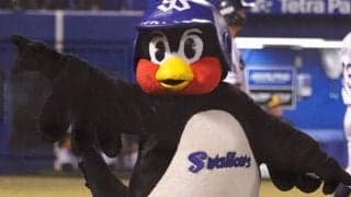 つば九郎が0-10の完敗を嘆く「0てんでは、でばんなし」　骨折の嶋へは熱いメッセージ