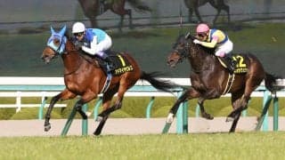 【若葉S】武豊騎乗の6億円ホース アドマイヤビルゴがデビューから2連勝