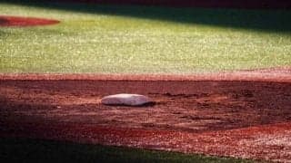 ルートインBCリーグ、開幕を4月18日以降に延期　村山代表「健康を第一に考え決定」