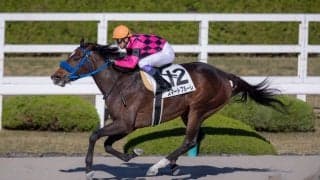 【マリーンC】JRA出走予定馬