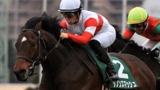 【高松宮記念】出走馬の調教後の馬体重