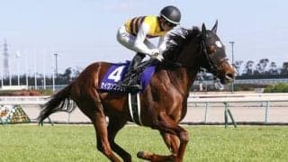 高松宮記念、二度あることは三度ある。高配当へ侮れない穴馬が３頭いる