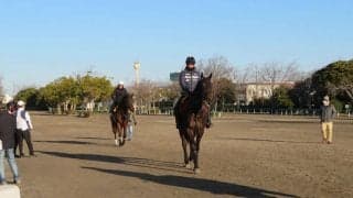 【日経賞】ウインイクシード 鈴木伸師「距離も問題ない」