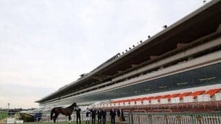 新型コロナの影響で、地方競馬との交流競走が一部取りやめ