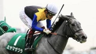 桜花賞で満開となるか。ミヤマザクラは「すべてにおいてレベルが高い」