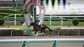 【伏竜S】10番人気のヘルシャフトが逃げ切り