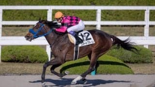 【マリーンC】枠順と見どころ 武豊スマートフルーレは3枠4番