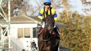 ソウルスターリング号が競走馬登録抹消