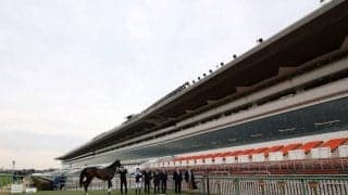 桜花賞、皐月賞も無観客が決定