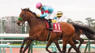 【大阪杯】出走馬の調教後の馬体重