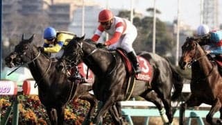 【大阪杯】枠順と見どころ ダノンキングリーは6枠8番