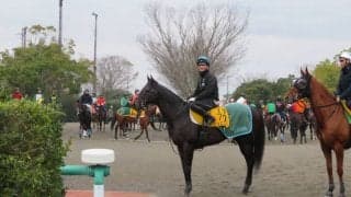 【ダービー卿CT】レイエンダ 藤沢和師「中山はいい」