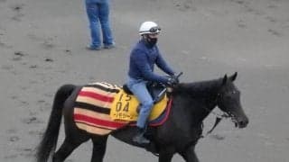 【ダービー卿CT】プリモシーン デムーロと重賞連勝狙う