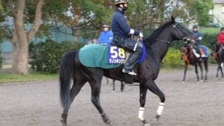 【大阪杯】ダノンキングリー 萩原師「臨戦態勢は十分」