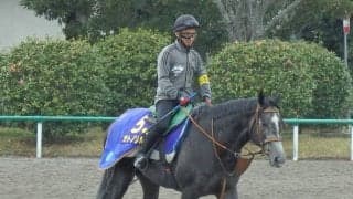 【大阪杯】サトノソルタス まだ底を見せていない強み