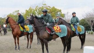 【桜花賞1週前】サンクテュエール 藤沢和師「ここでも見劣らない」