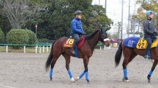 【桜花賞1週前】マジックキャッスル 国枝師「前走も負けて強し」