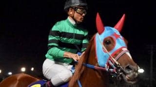 【大井・TCK女王盃】枠順と見どころ アンデスクイーンは6枠7番