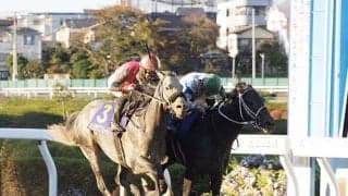 【川崎・川崎記念】JRA出走予定馬