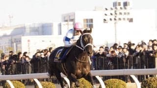 【川崎・川崎記念】チュウワウィザードが圧勝！交流G1 2勝目