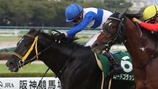 【佐賀・佐賀記念】JRA出走予定馬