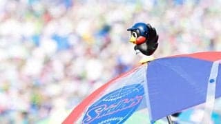 「もう泣かせないで」「手書きが温かい」神宮球場が投稿したメッセージが話題