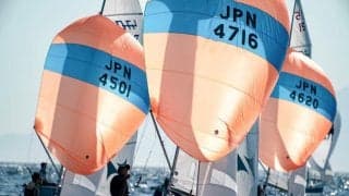 関東学生ヨット春季選手権は中止。関東個人戦は延期