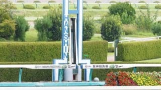 阪神競馬場の馬場情報