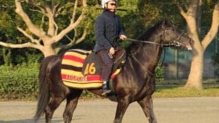 【ニュージーランドT】アブソルティスモ 藤沢和師「改めて期待」