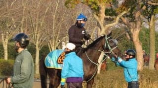 【ニュージーランドT】シーズンズギフト 黒岩師「距離が短くなるのはいい」