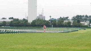 【桜花賞】デアリングタクトが無傷の3連勝で桜の女王！緊急事態宣言後、最初の競馬開催