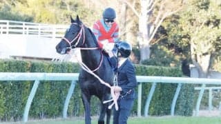 【皐月賞】登録馬と見どころ コントレイルなど19頭