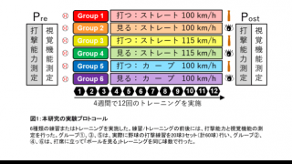 順天堂、野球の打撃能力が実際と同じ球種・球速で練習すると大きく向上することを発見